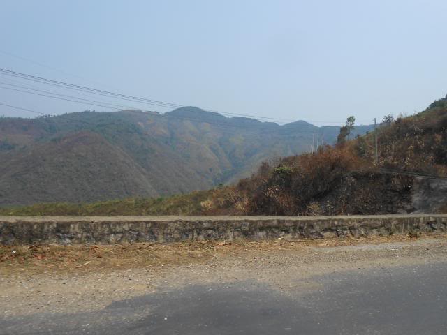 DSCN3335.jpg