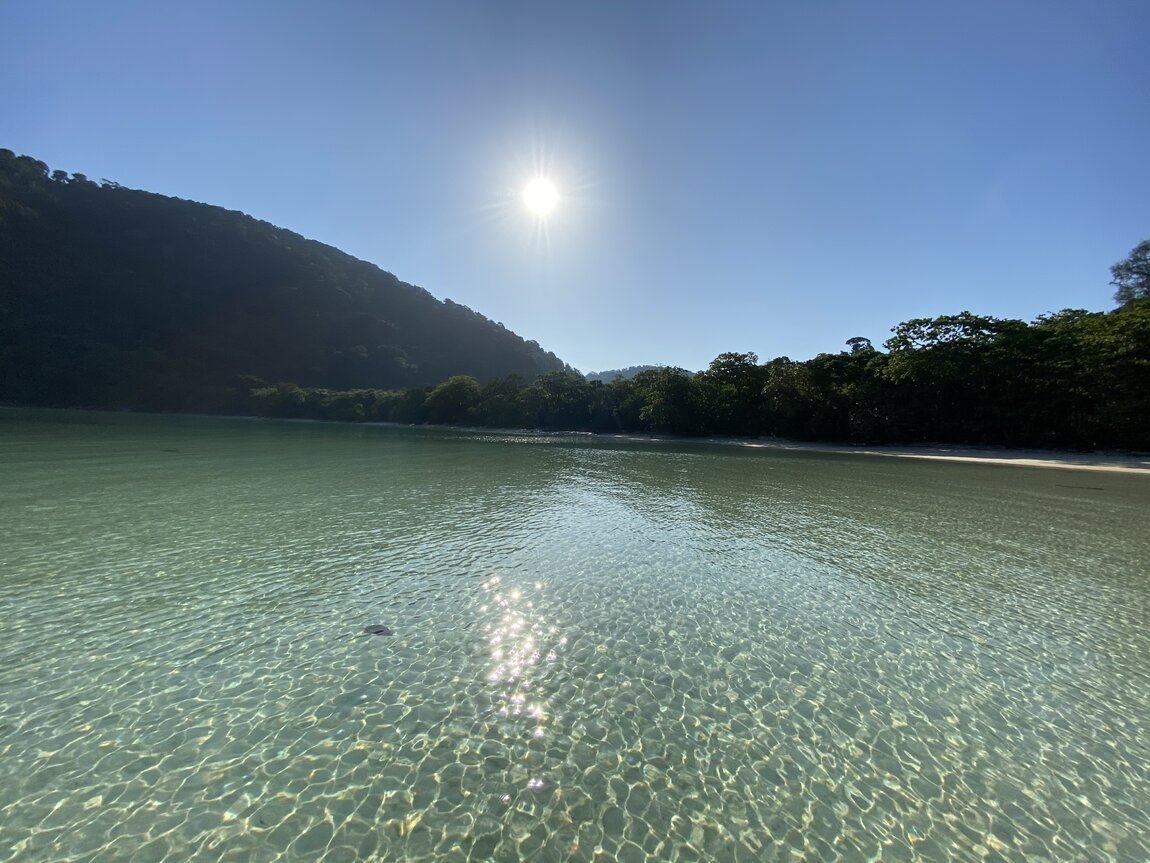 E257A9DC-2C95-47E2-B9C7-4DCBC18DDB31.jpeg E257A9DC-2C95-47E2-B9C7-4DCBC18DDB31.jpeg