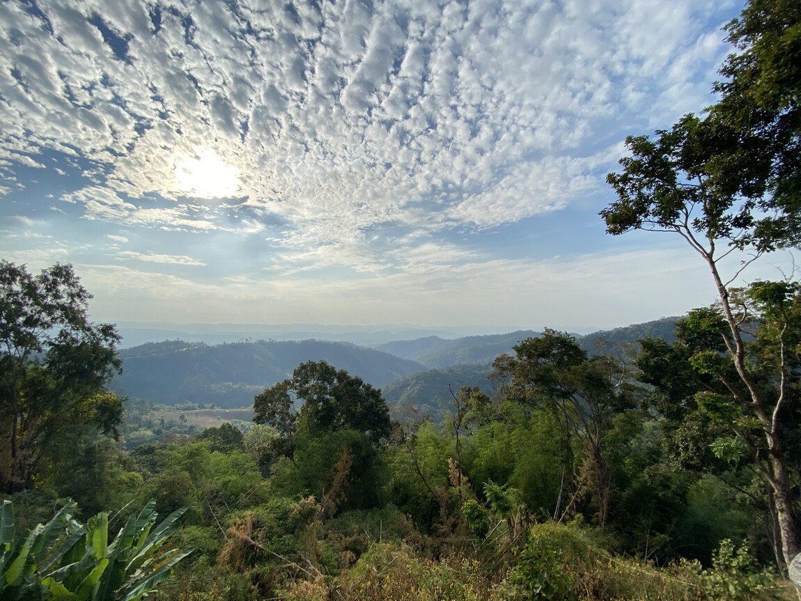 F2D1A405-21F1-476F-9DF5-812251901757.jpeg