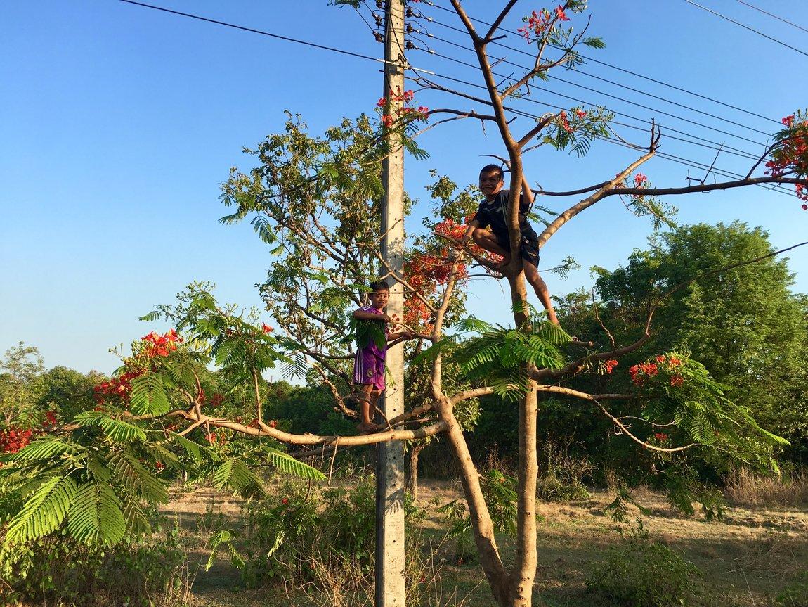 F3C1CFAE-2A0A-40EF-823D-8CA96FFA3835.jpeg F3C1CFAE-2A0A-40EF-823D-8CA96FFA3835.jpeg