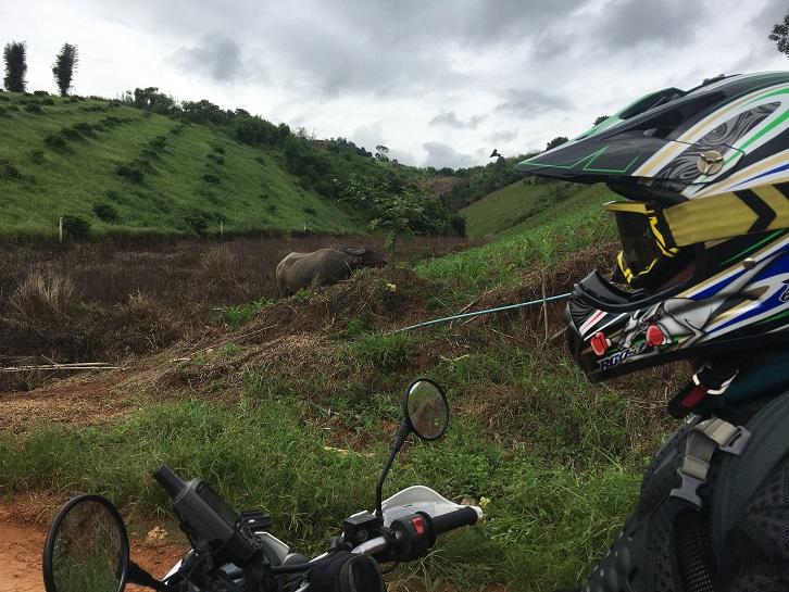 Fang Thailand Motorcycle (16).jpg