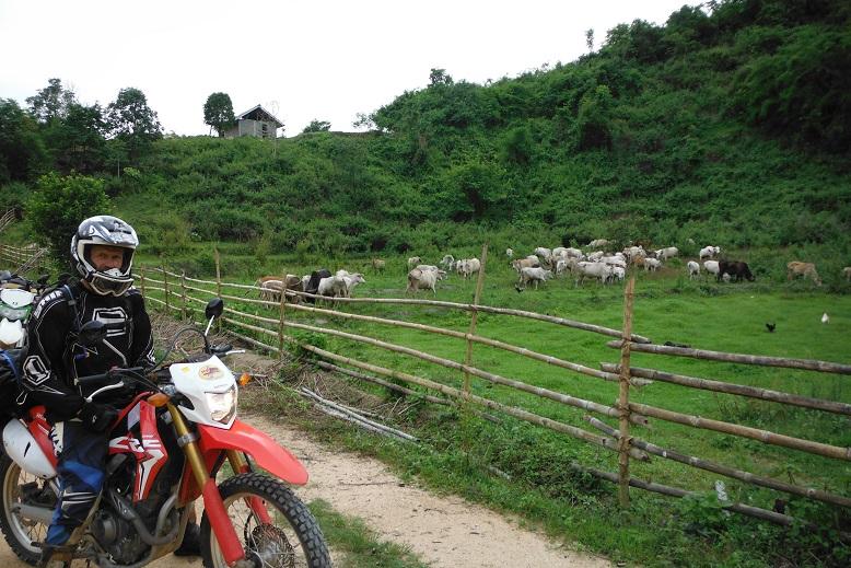 Fang Thailand Motorcycle (17).JPG