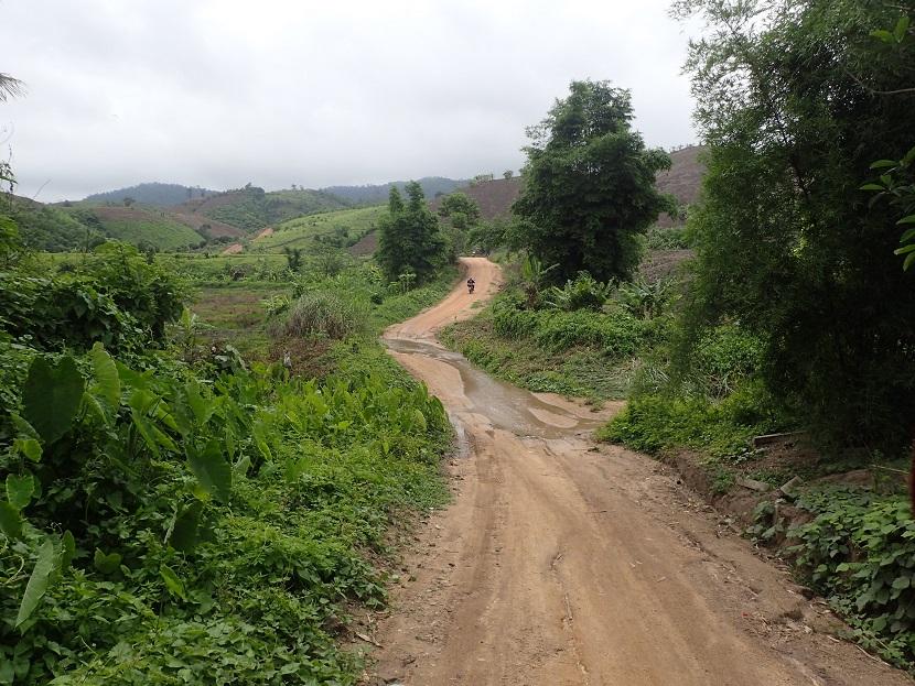 Fang Thailand Motorcycle (21).jpg