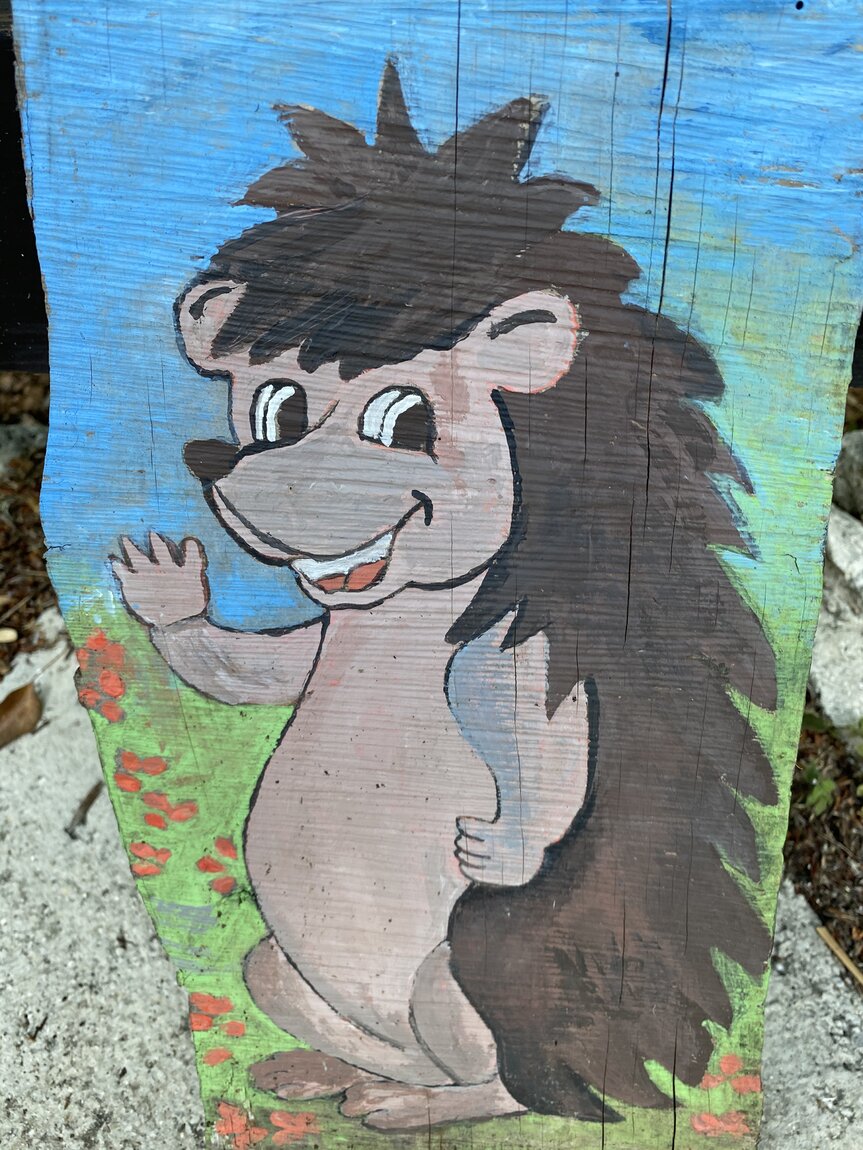 FED3D6A4-1AAA-4478-B398-CD6F00FF2737.jpeg