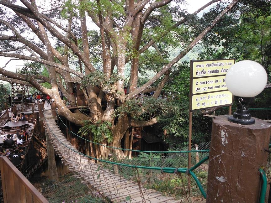 giant chiang mai (2).JPG giant chiang mai (2).JPG