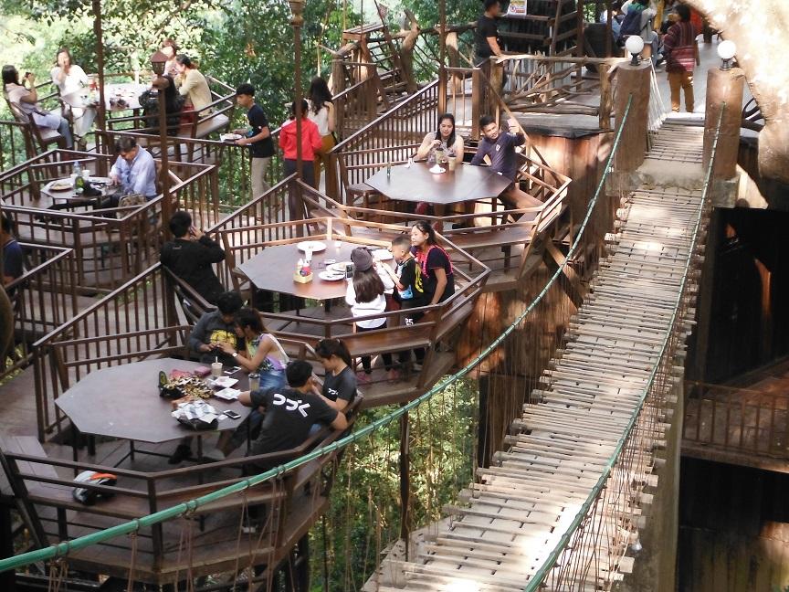 giant chiang mai (4).JPG giant chiang mai (4).JPG