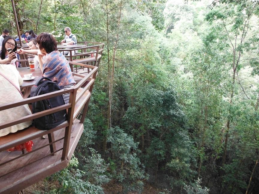 giant treehouse chiang mai (7).JPG giant treehouse chiang mai (7).JPG