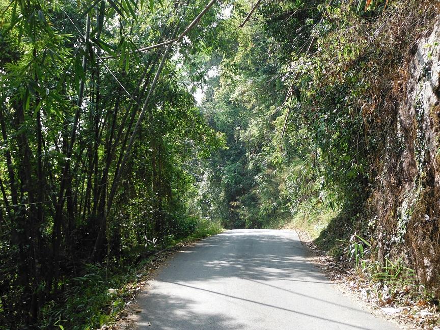 giant treehouse chiang mai (9).JPG giant treehouse chiang mai (9).JPG