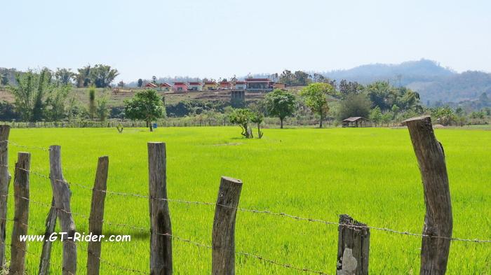 GTR%20-%20IMG_8693.jpg GTR%20-%20IMG_8693.jpg