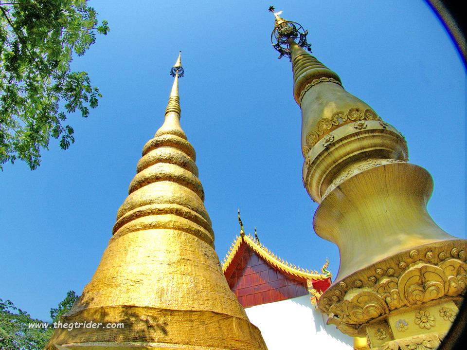 GTR - IMG_4302 -1.jpg