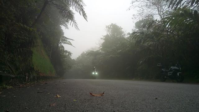 IMAG0976_BURST004.jpg IMAG0976_BURST004.jpg