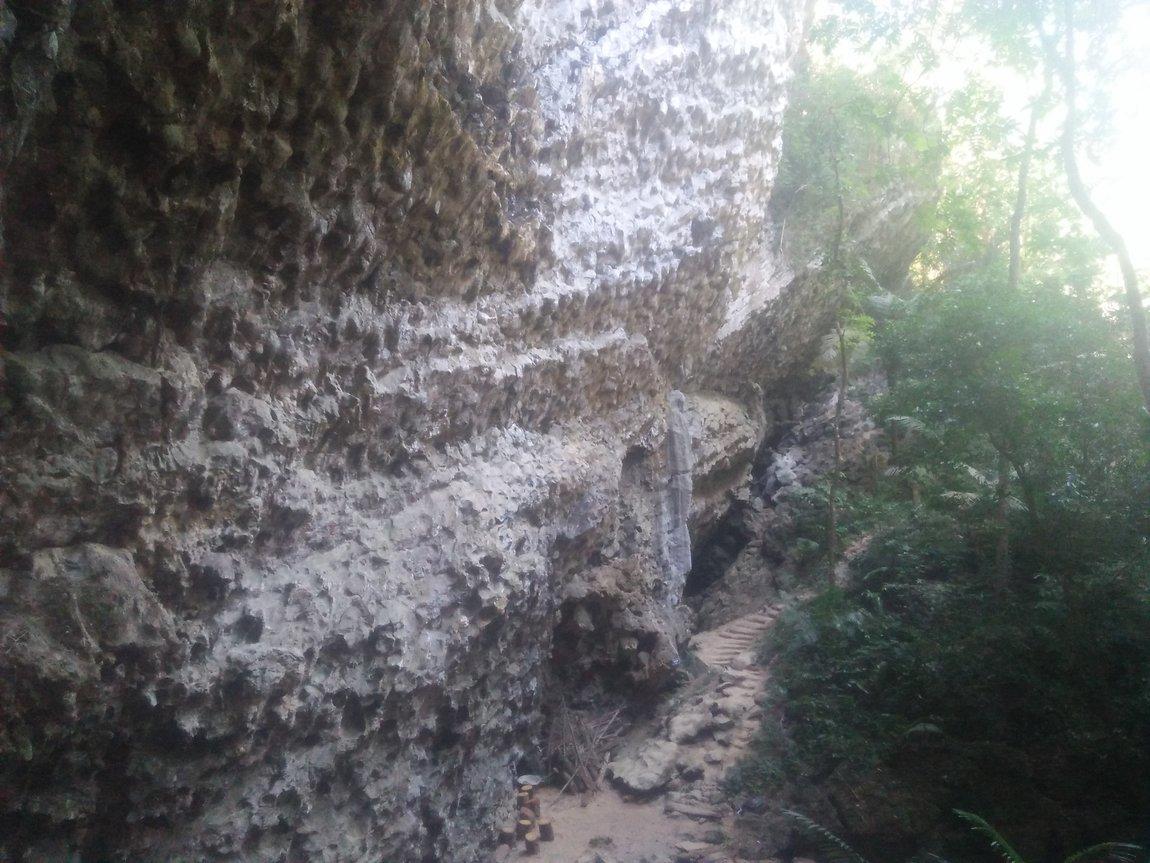 IMG20190107104403.jpg IMG20190107104403.jpg