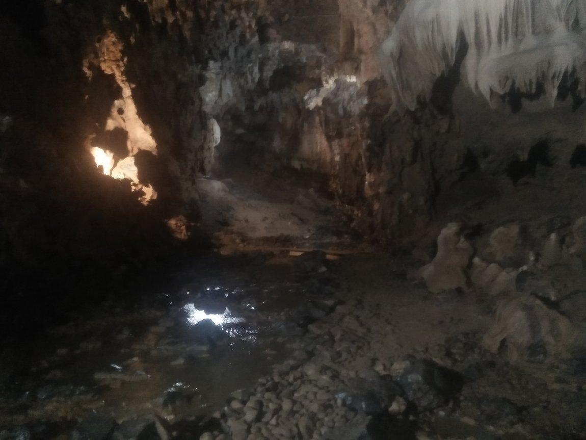 IMG20190107110054.jpg IMG20190107110054.jpg