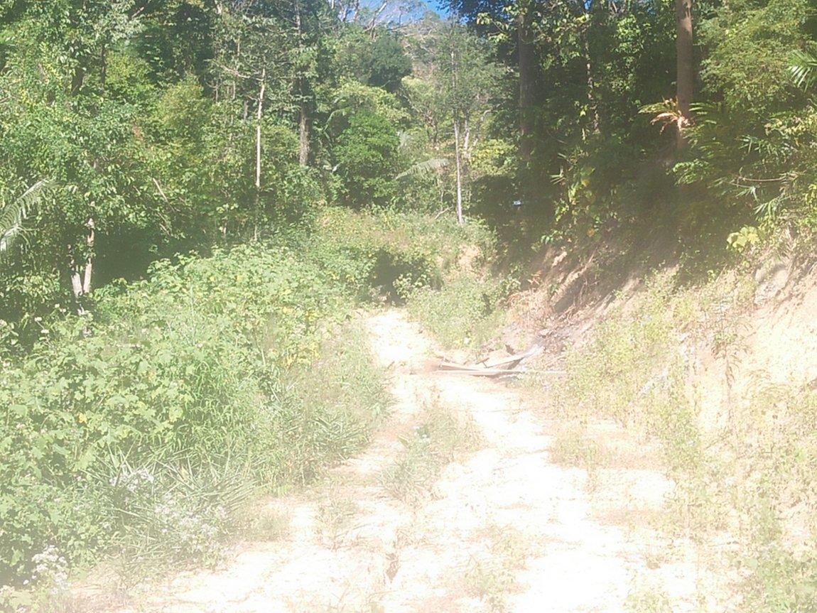 IMG20190107111919.jpg IMG20190107111919.jpg