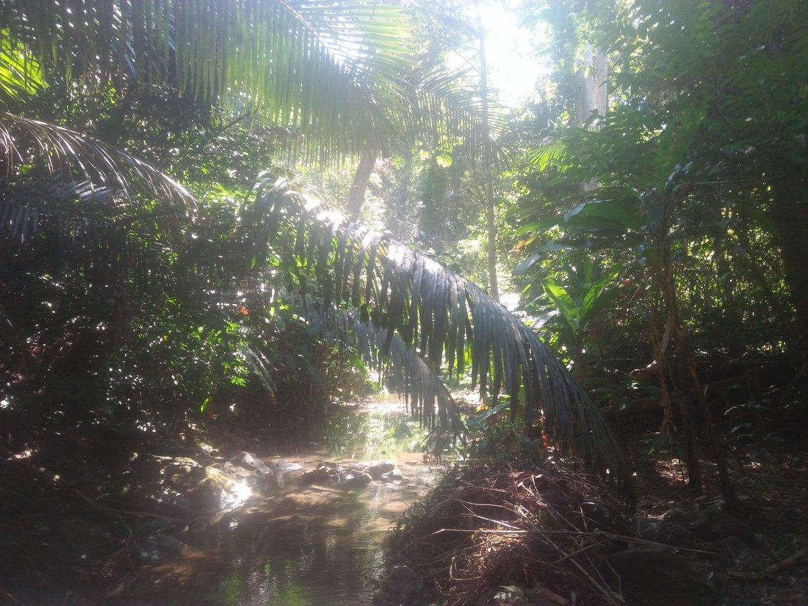 IMG20190107113011.jpg IMG20190107113011.jpg