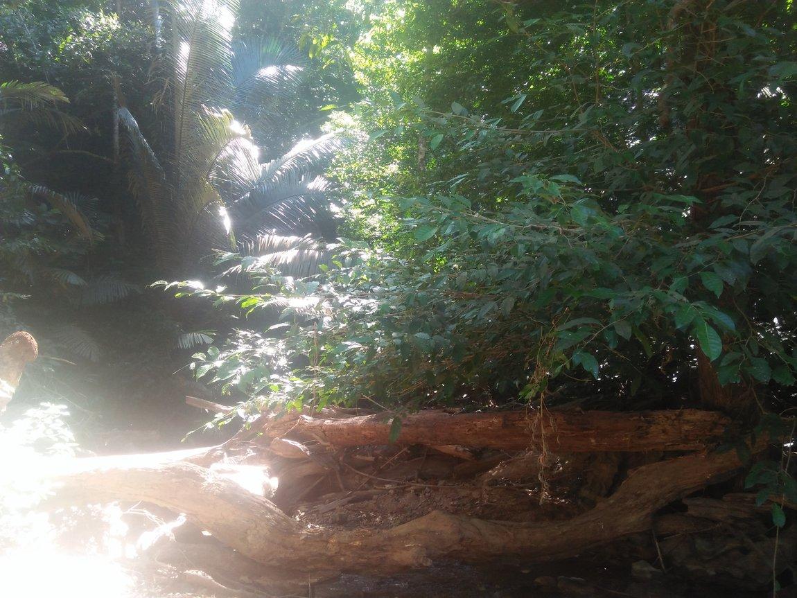 IMG20190107113422.jpg IMG20190107113422.jpg