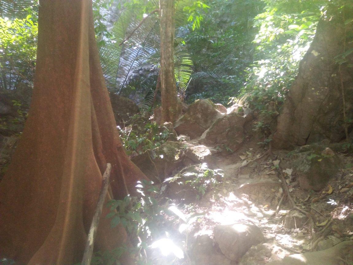 IMG20190107113612.jpg IMG20190107113612.jpg