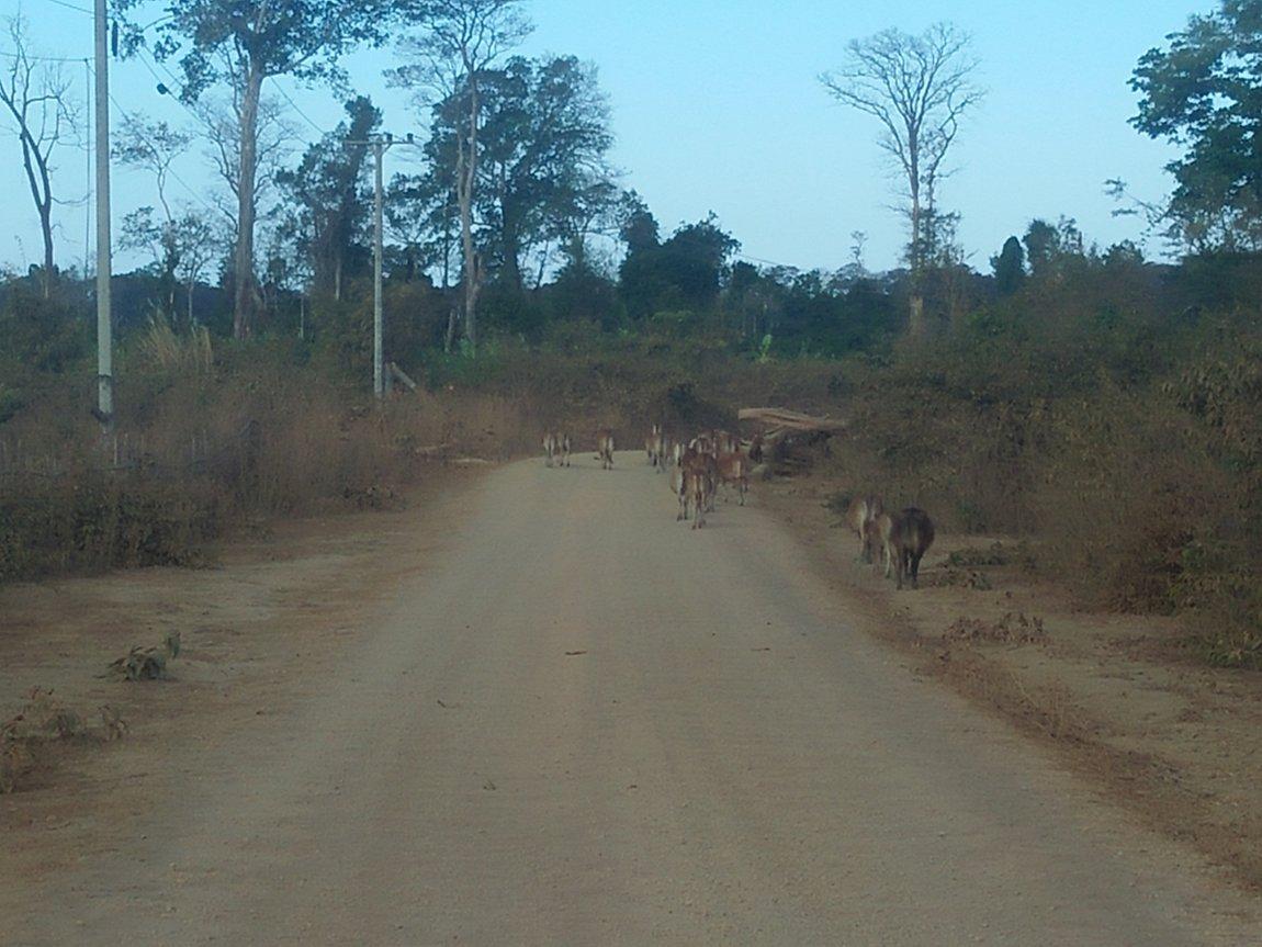 IMG20190112083442.jpg IMG20190112083442.jpg