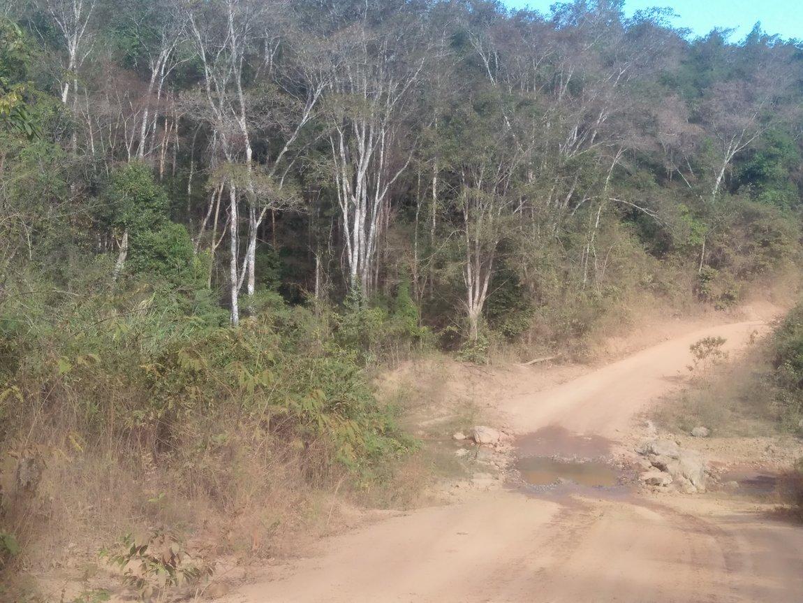 IMG20190112090635.jpg IMG20190112090635.jpg