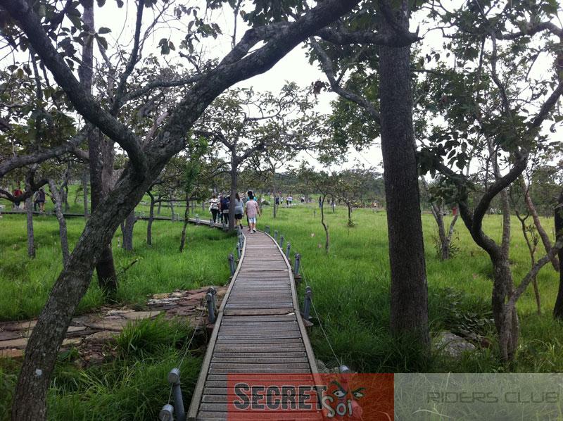 IMG_1519SSR.jpg IMG_1519SSR.jpg