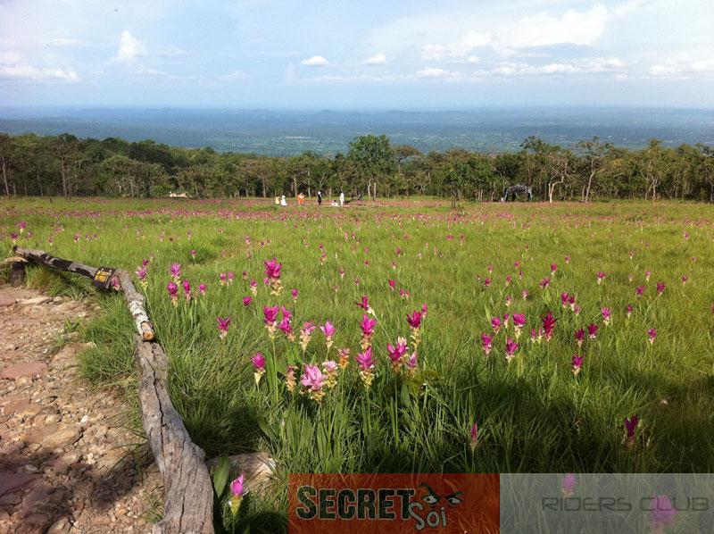 IMG_1575SSR.jpg IMG_1575SSR.jpg