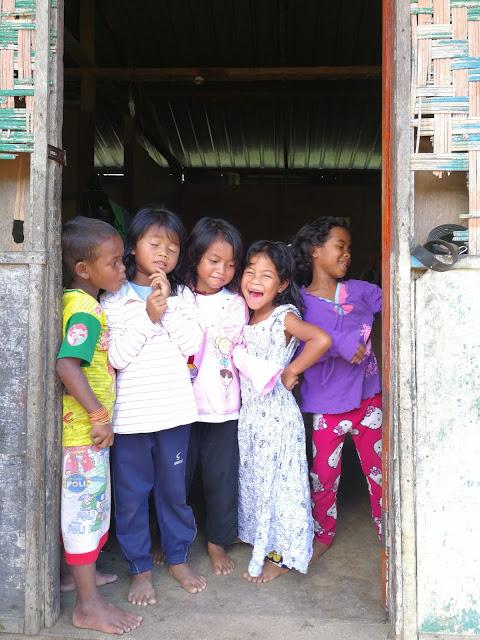 IMG_20170729_141648.jpg IMG_20170729_141648.jpg