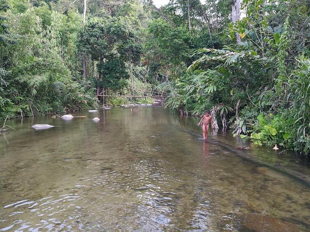 IMG_20170729_183234.jpg IMG_20170729_183234.jpg