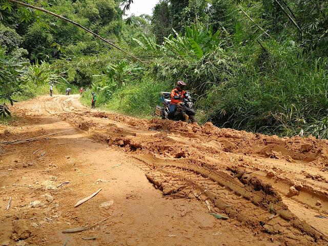 IMG_20170730_122801.jpg IMG_20170730_122801.jpg