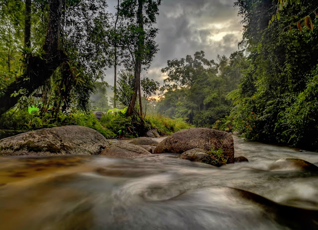 IMG_20191013_065527_000.jpg IMG_20191013_065527_000.jpg