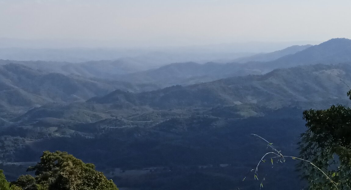 IMG_20220105_150131_1 CROP.jpg