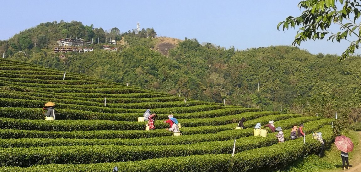 IMG_20240222_083801 (2).jpg