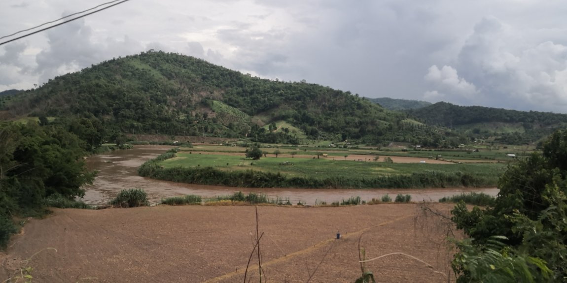 IMG_20240625_150512.jpg IMG_20240625_150512.jpg