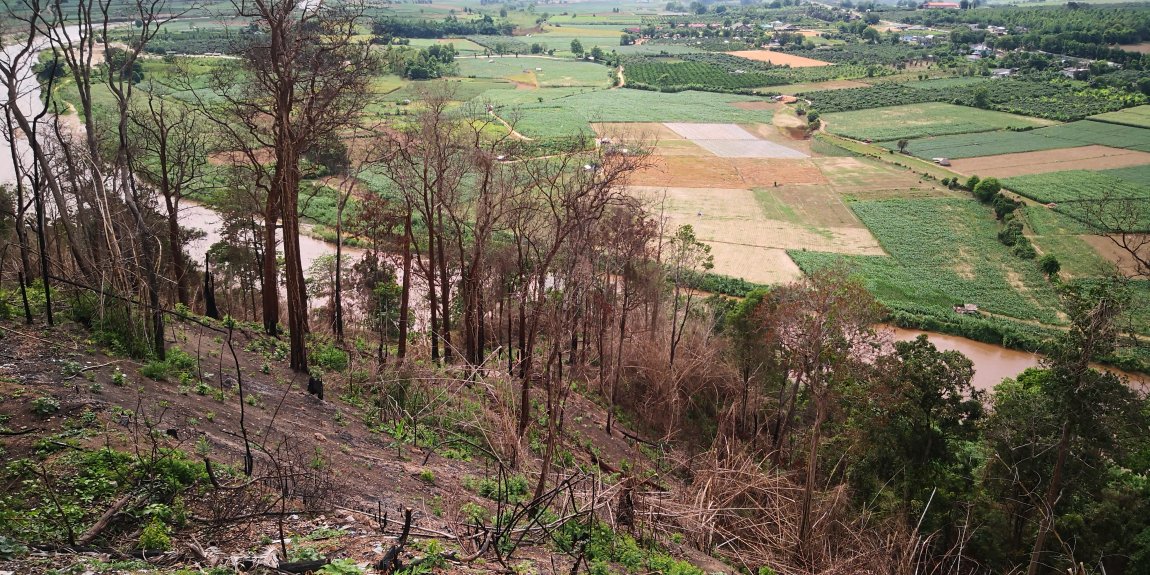 IMG_20240625_153846.jpg IMG_20240625_153846.jpg