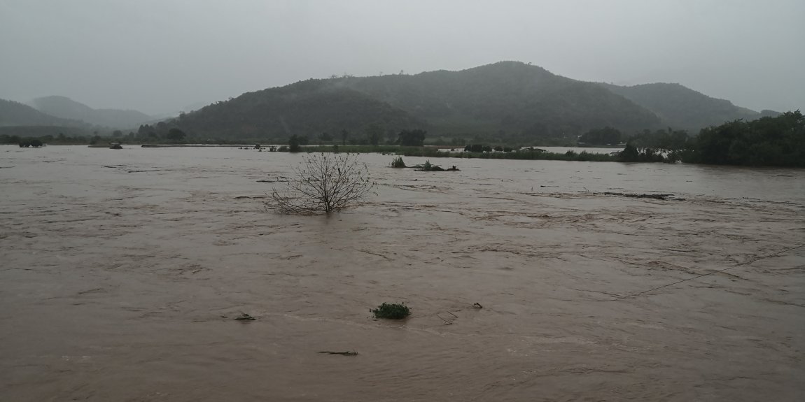 IMG_20240910_163602.jpg IMG_20240910_163602.jpg