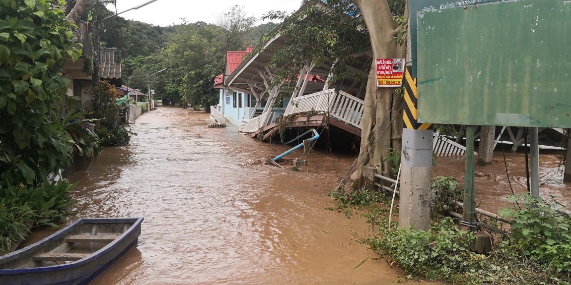 IMG_20240911_132132.jpg IMG_20240911_132132.jpg