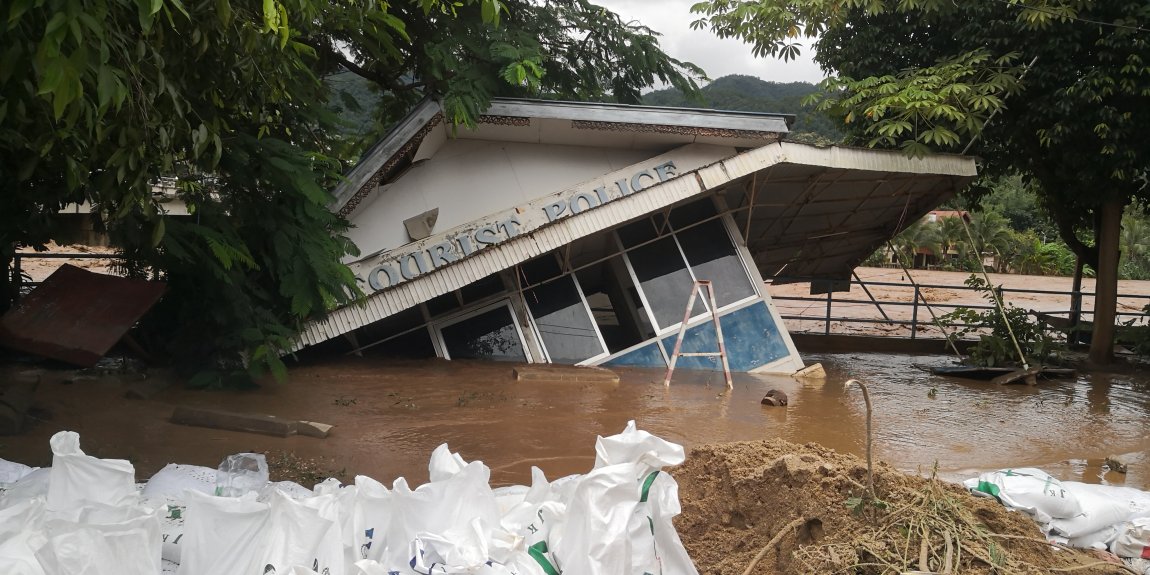 IMG_20240911_132250.jpg IMG_20240911_132250.jpg