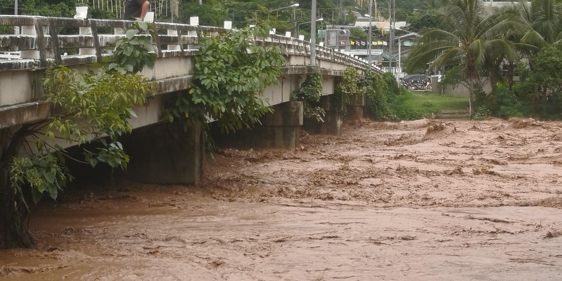 IMG_20240911_133006.jpg IMG_20240911_133006.jpg