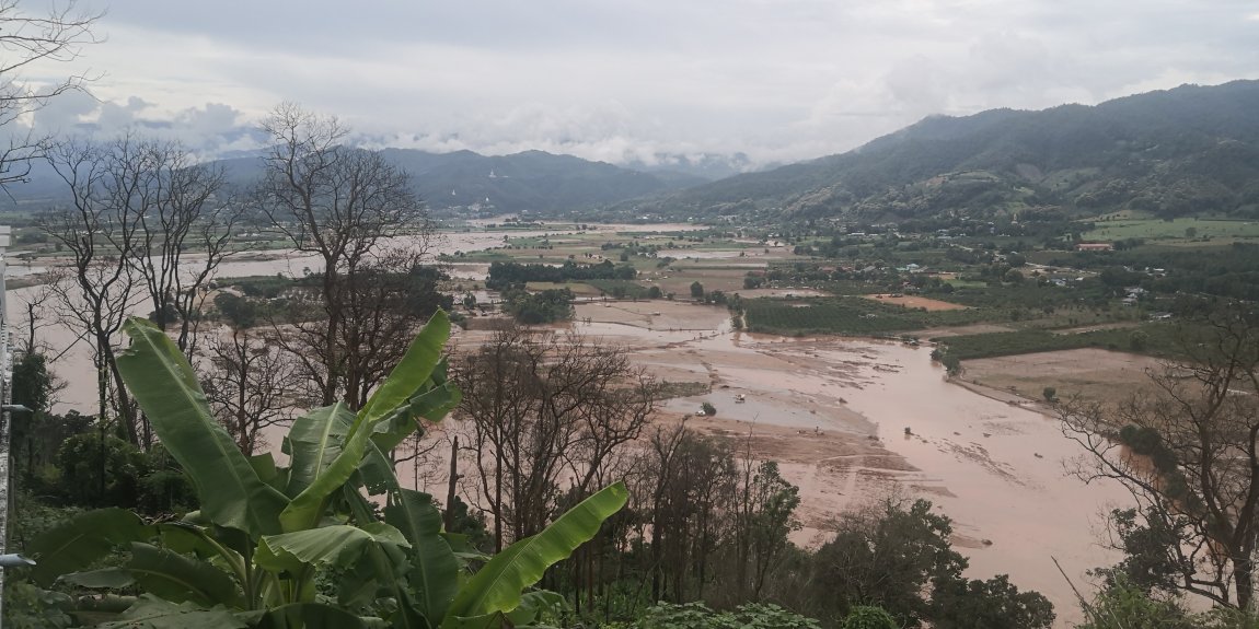 IMG_20240914_141350.jpg IMG_20240914_141350.jpg