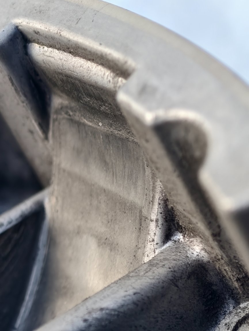 IMG_20260811_173409.jpg