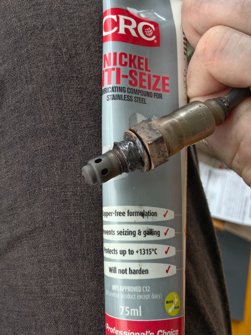 IMG_20260817_104519.jpg