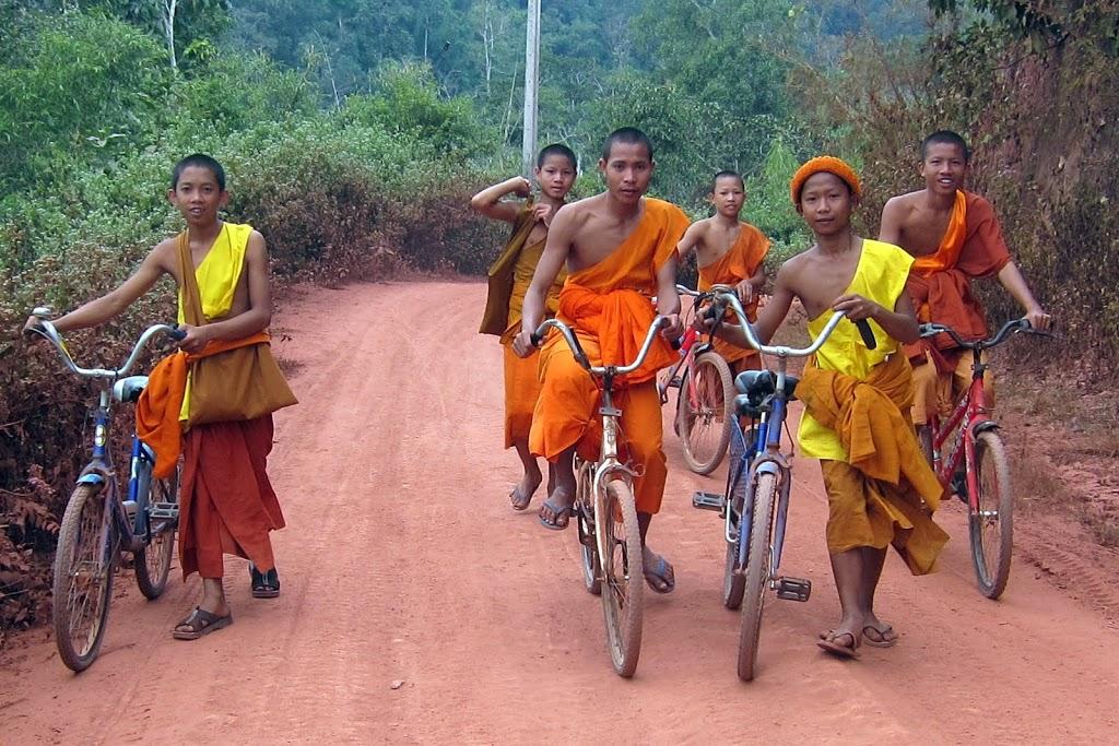 IMG_2233.jpg IMG_2233.jpg