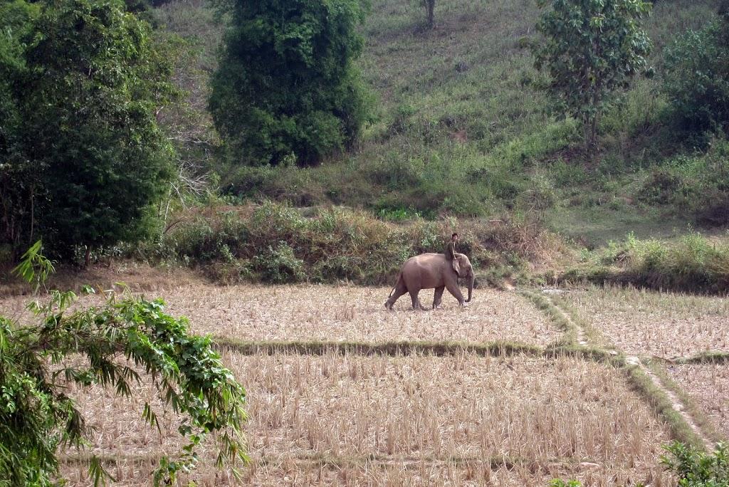 IMG_2235.jpg IMG_2235.jpg