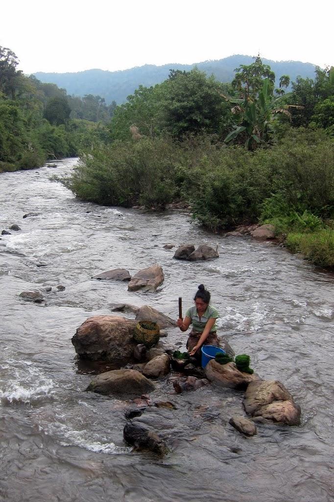 IMG_2310.jpg IMG_2310.jpg