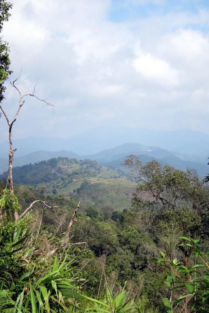 IMG_2376.jpg IMG_2376.jpg