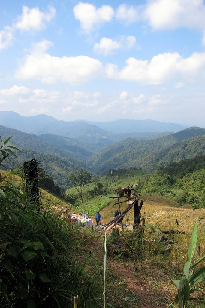 IMG_2391.jpg IMG_2391.jpg