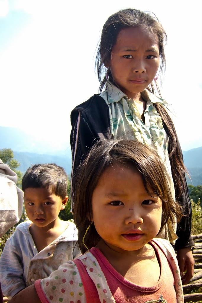 IMG_2405-1.jpg IMG_2405-1.jpg