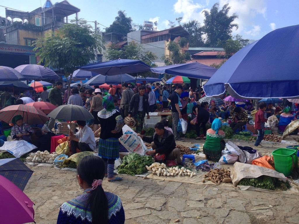 IMG_2489_zpsifgdnzds.jpg IMG_2489_zpsifgdnzds.jpg