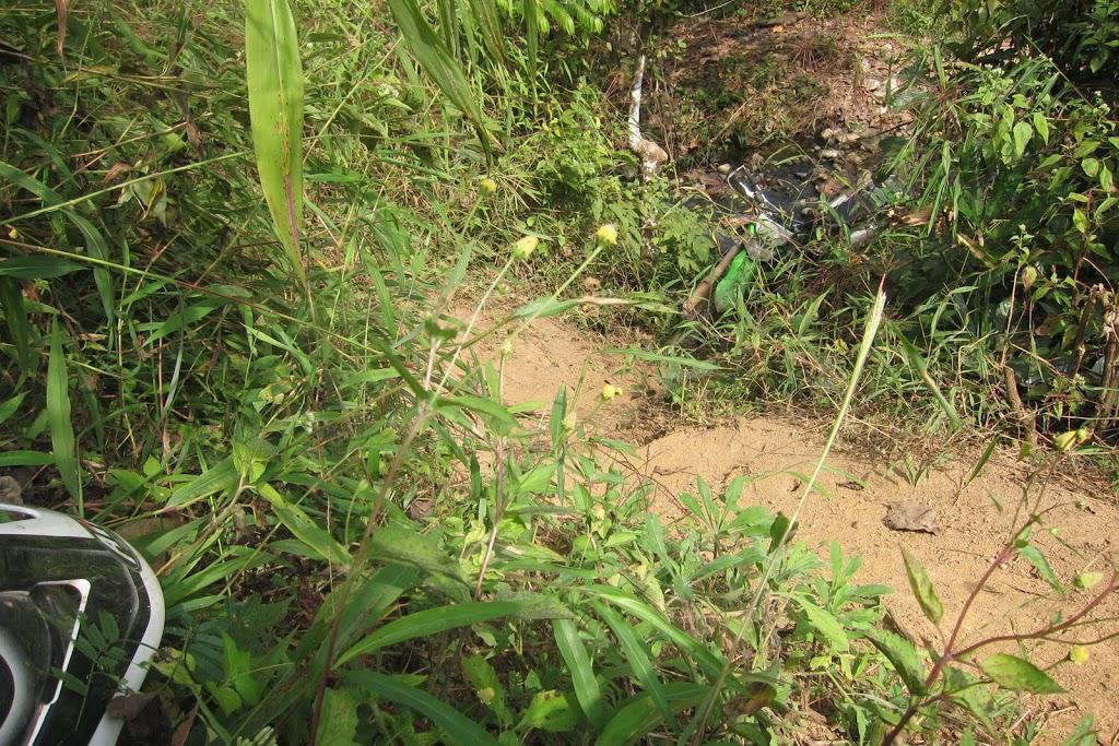 IMG_2520.jpg IMG_2520.jpg