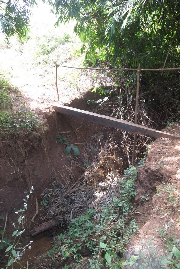 IMG_2529.jpg IMG_2529.jpg