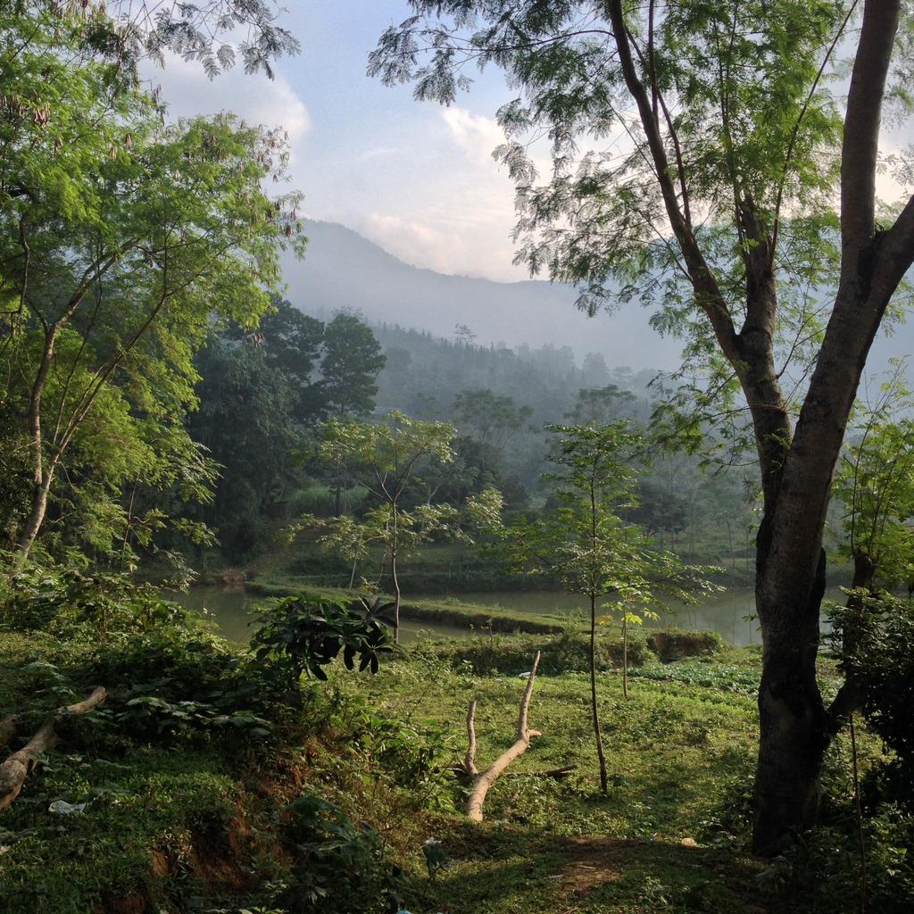 IMG_2537_zpsma6xulnd.jpg IMG_2537_zpsma6xulnd.jpg